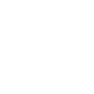 The Lurgan